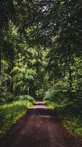 Preview wallpaper road, forest, trees, grass, distance