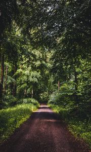 Preview wallpaper road, forest, trees, grass, distance