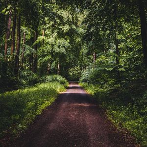 Preview wallpaper road, forest, trees, grass, distance