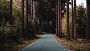 Preview wallpaper road, forest, trees, pine, distance