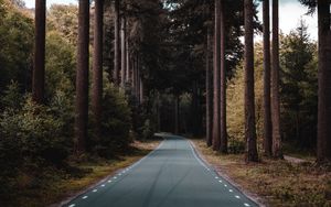 Preview wallpaper road, forest, trees, pine, distance