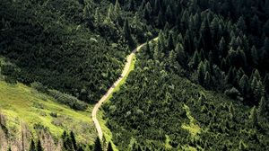 Preview wallpaper road, forest, trees, winding, slope