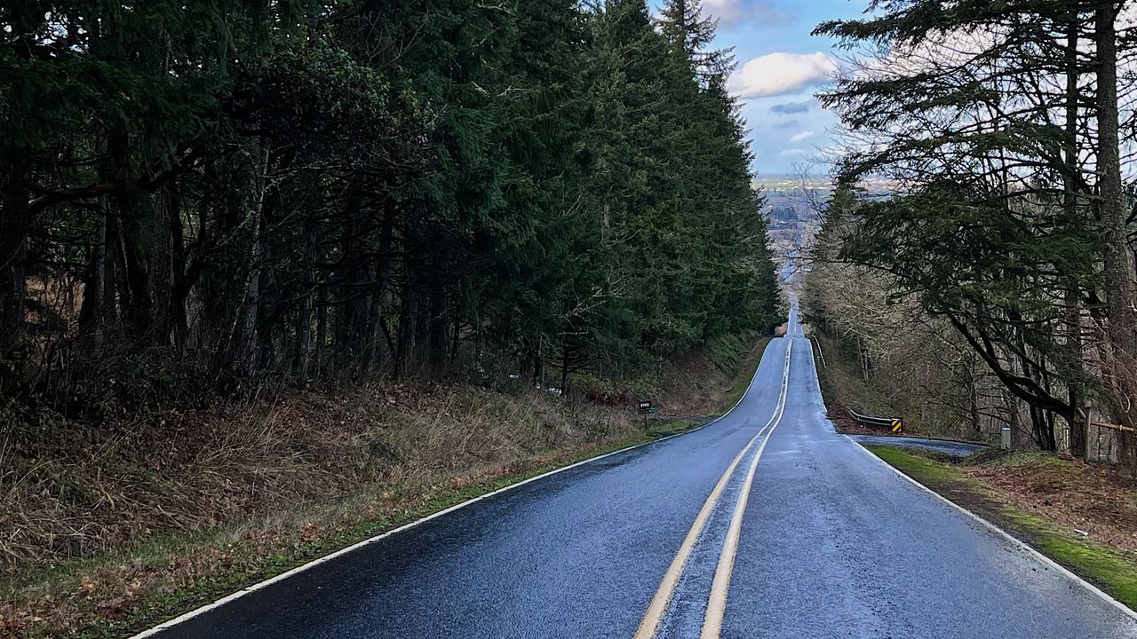 Wallpaper road, forest, trees, nature