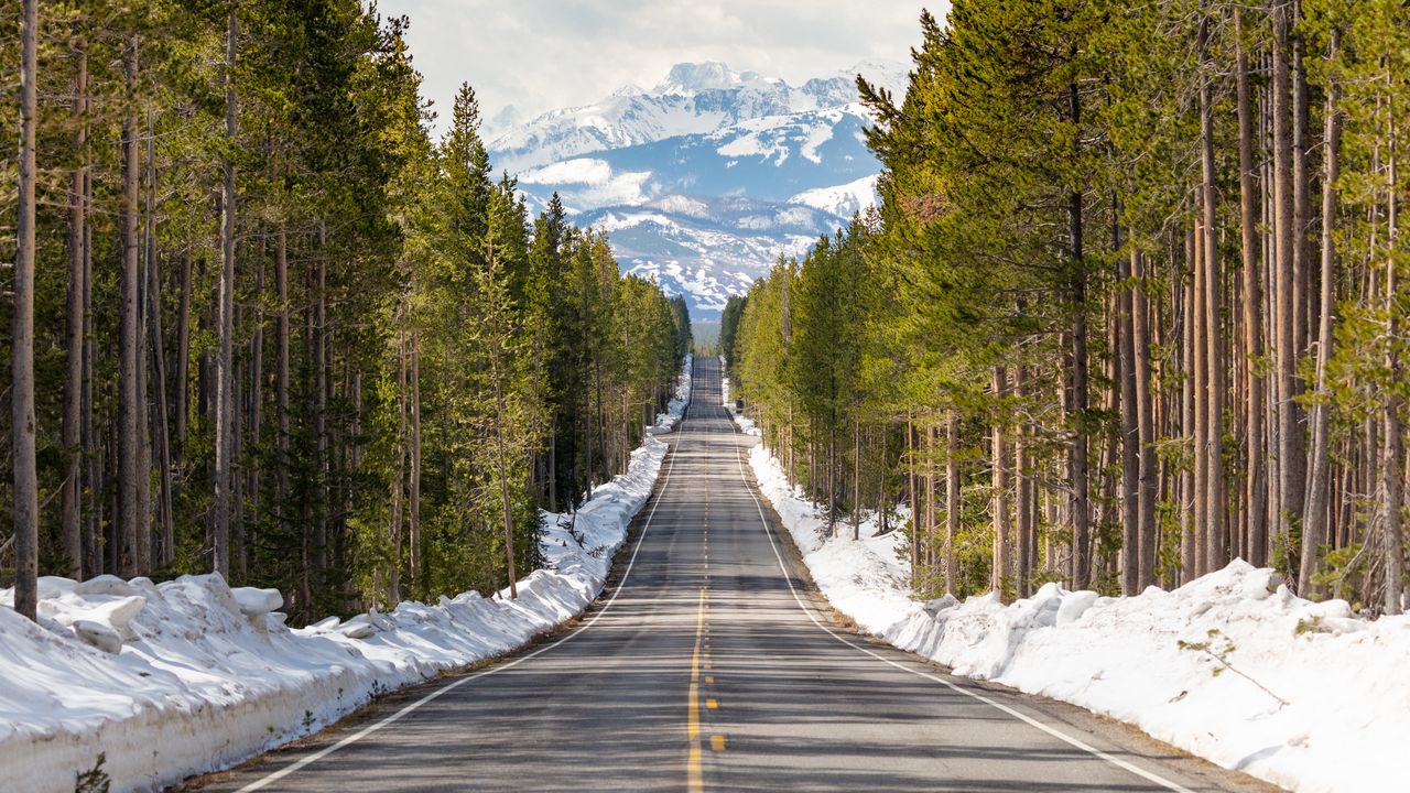 Wallpaper road, forest, trees, snow, mountains, landscape