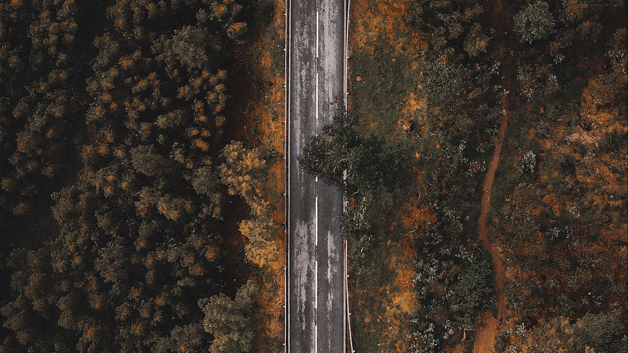 Wallpaper road, forest, trees, top view, overview