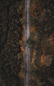 Preview wallpaper road, forest, trees, top view, overview