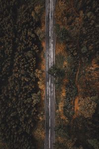 Preview wallpaper road, forest, trees, top view, overview