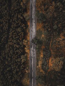 Preview wallpaper road, forest, trees, top view, overview