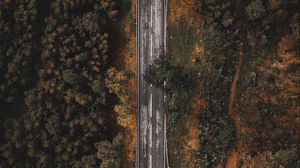 Preview wallpaper road, forest, trees, top view, overview