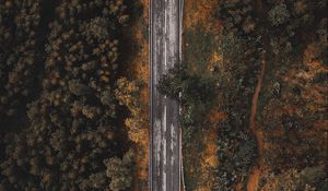 Preview wallpaper road, forest, trees, top view, overview