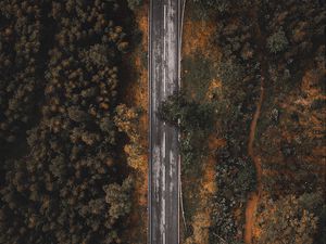 Preview wallpaper road, forest, trees, top view, overview