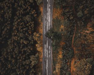 Preview wallpaper road, forest, trees, top view, overview