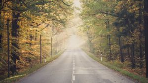 Preview wallpaper road, forest, trees, fog, autumn, landscape