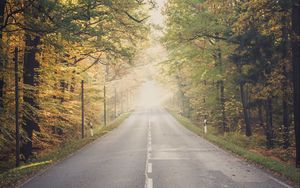 Preview wallpaper road, forest, trees, fog, autumn, landscape