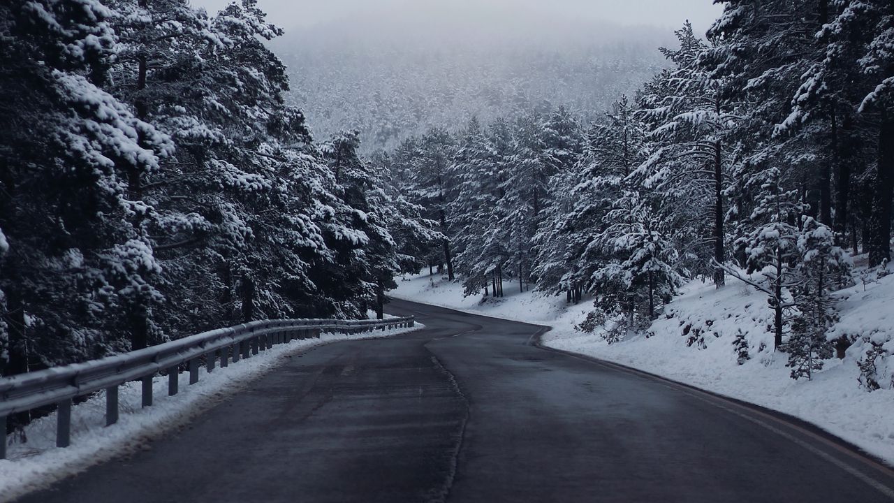 Wallpaper road, forest, trees, snow, winter, landscape