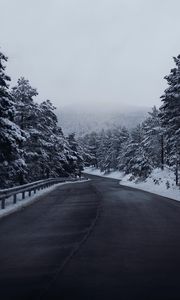 Preview wallpaper road, forest, trees, snow, winter, landscape