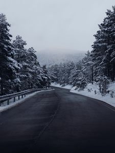 Preview wallpaper road, forest, trees, snow, winter, landscape