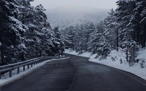 Preview wallpaper road, forest, trees, snow, winter, landscape