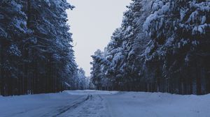Preview wallpaper road, forest, trees, snow, winter, nature