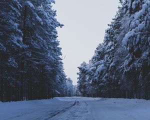 Preview wallpaper road, forest, trees, snow, winter, nature