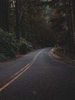 240x320 Wallpaper road, forest, trees, dark