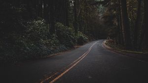 Preview wallpaper road, forest, trees, dark