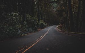 Preview wallpaper road, forest, trees, dark