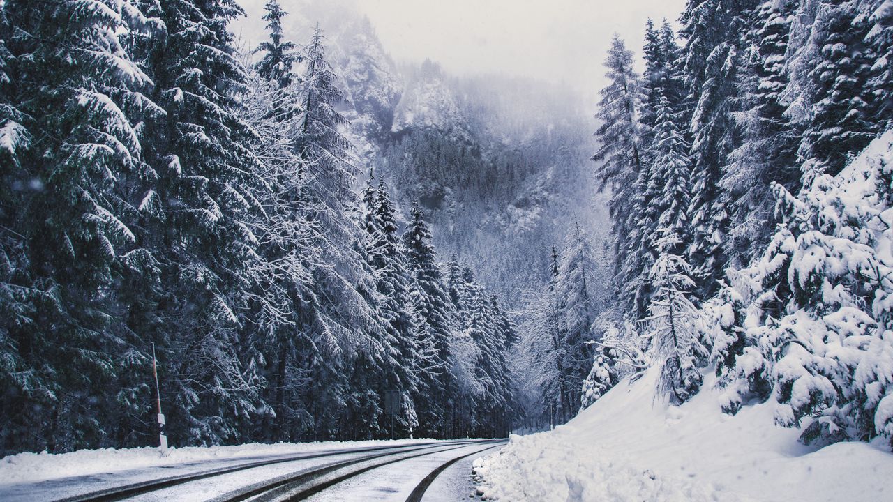 Wallpaper road, forest, turn, mountains, snowy, winter, trees