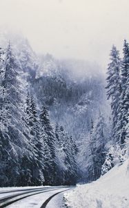 Preview wallpaper road, forest, turn, mountains, snowy, winter, trees