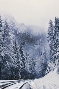 Preview wallpaper road, forest, turn, mountains, snowy, winter, trees