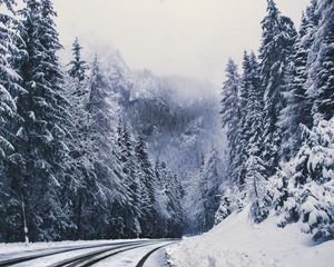 Preview wallpaper road, forest, turn, mountains, snowy, winter, trees