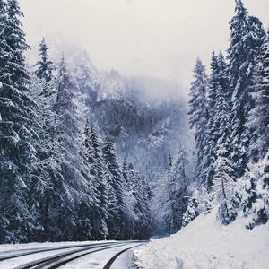 Preview wallpaper road, forest, turn, mountains, snowy, winter, trees