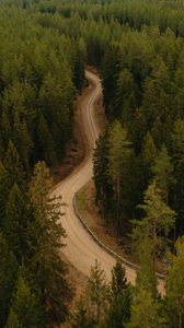 Preview wallpaper road, forest, winding, trees