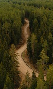 Preview wallpaper road, forest, winding, trees