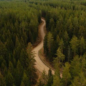 Preview wallpaper road, forest, winding, trees