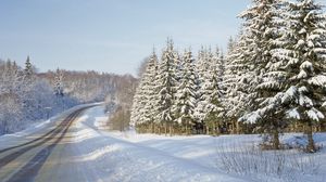 Preview wallpaper road, fur-trees, winter