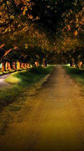 Preview wallpaper road, garden, avenue, ranks, track, mysterious