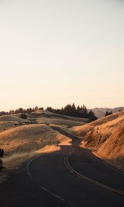 Preview wallpaper road, grass, dry, car