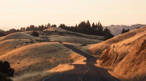 Preview wallpaper road, grass, dry, car