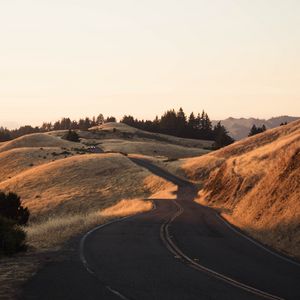 Preview wallpaper road, grass, dry, car