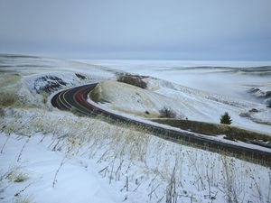 Preview wallpaper road, grass, dry, snow, winter, long exposure