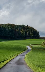 Preview wallpaper road, grass, field, forest, nature, landscape