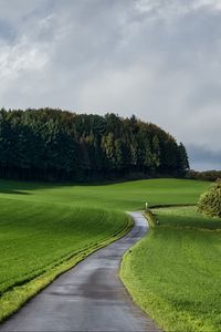 Preview wallpaper road, grass, field, forest, nature, landscape