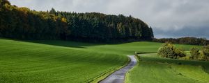 Preview wallpaper road, grass, field, forest, nature, landscape