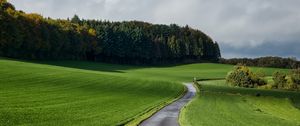 Preview wallpaper road, grass, field, forest, nature, landscape