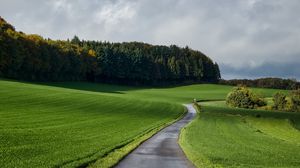 Preview wallpaper road, grass, field, forest, nature, landscape