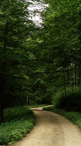 Preview wallpaper road, grass, trees, park, nature, forest