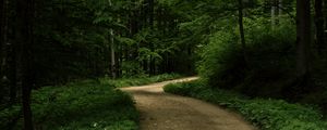 Preview wallpaper road, grass, trees, park, nature, forest