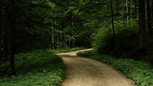 Preview wallpaper road, grass, trees, park, nature, forest