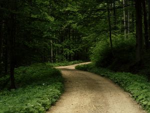 Preview wallpaper road, grass, trees, park, nature, forest